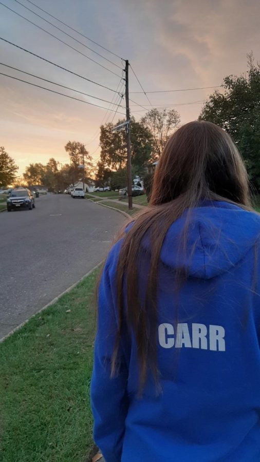The pandemic is leaving everyone with something to be desired, stealing away important moments and milestones that will never be fulfilled. For RV Freshman Breanna Carr, the heavy feeling of missing out is prevalent on a daily basis.