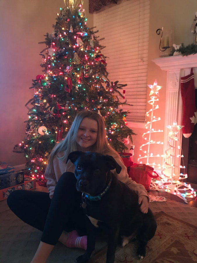 Junior Lauren Noble in front of her Christmas tree with a furry friend
