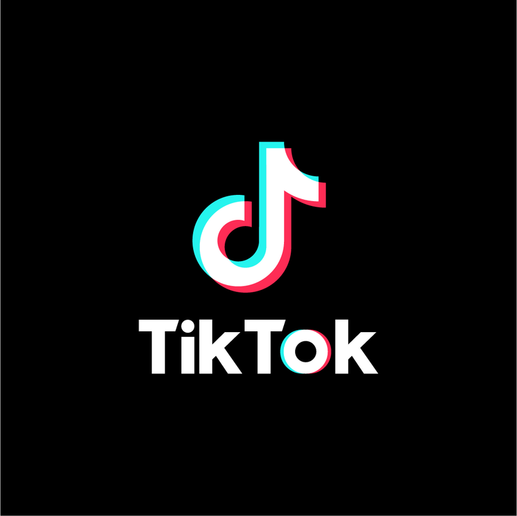 How+TikTok+got+many+teens+through+quarantine%3A+users+reminisce+on+trends+a+year+later