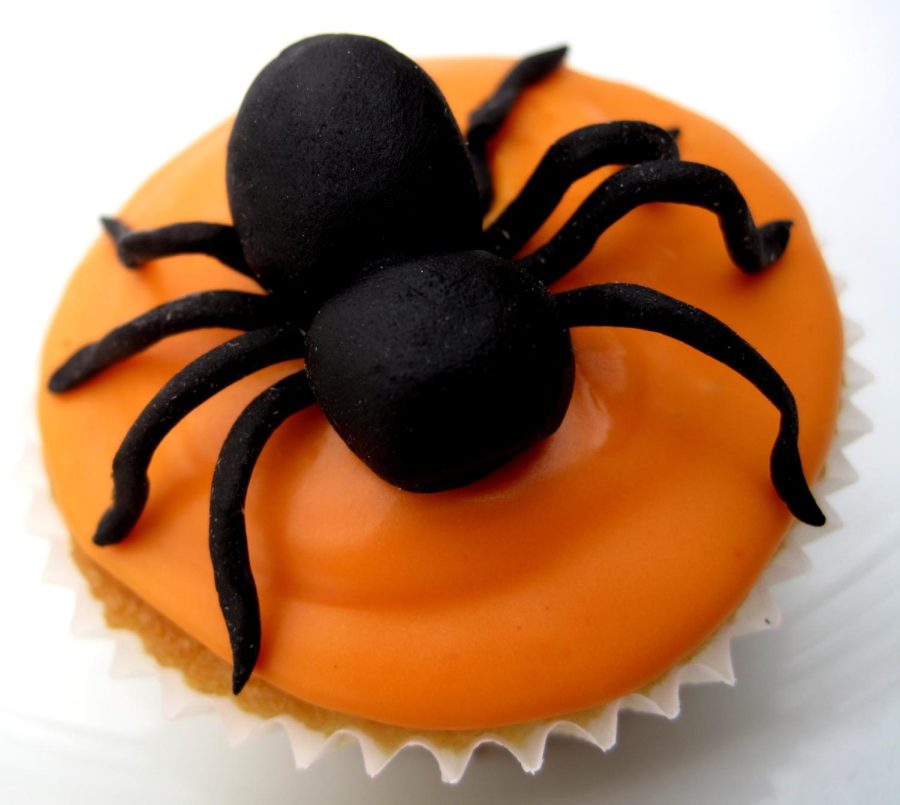 Halloween_Spider_Cup_Cake_(6868901903)