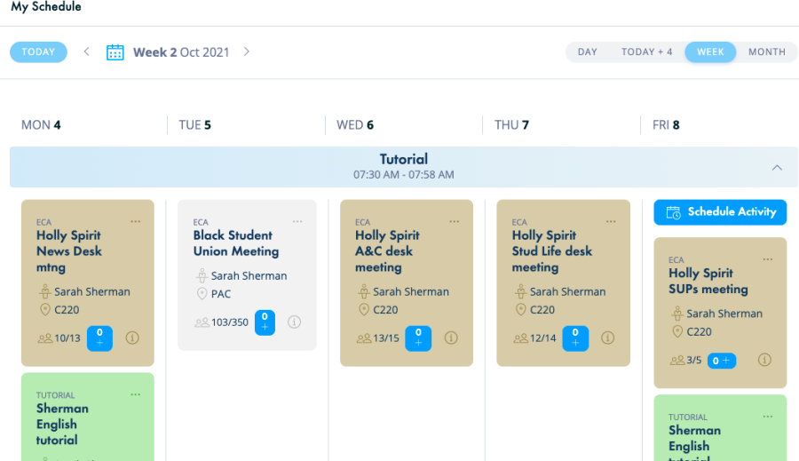 A sample tutorial schedule on FlexTime Manager