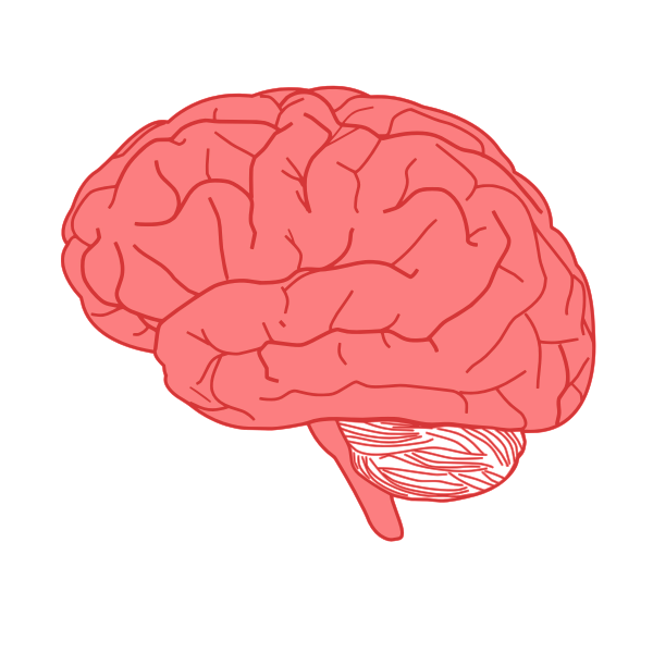 The negative impact of cognitive distortions on mindset