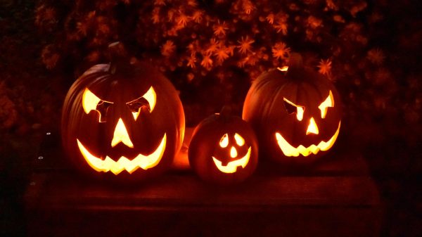 Things to do for Halloween in the area