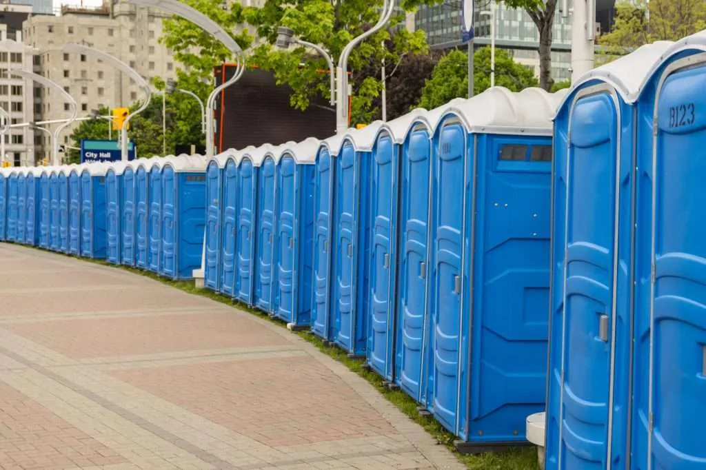 RV's Problematic Porta-Potty Policy